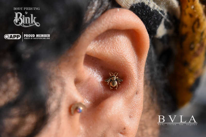 Conch piercing with yellow gold bumblebee.